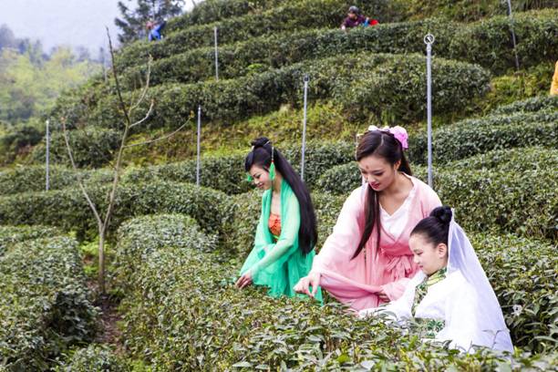 第十二届大青城三月三采茶节活动开幕