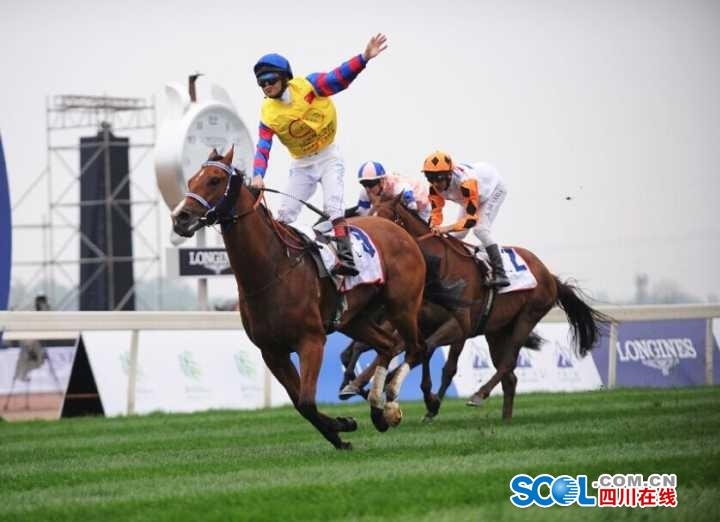 一马当先 中国骑师首获成都迪拜杯冠军