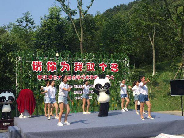 都江堰市启动大熊猫全球征名活动