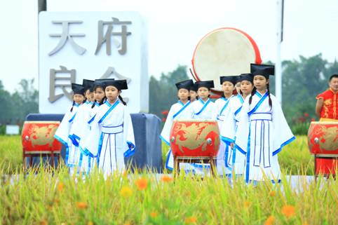 四川崇州举行首届“农民丰收节”暨第二届好米节开镰仪式