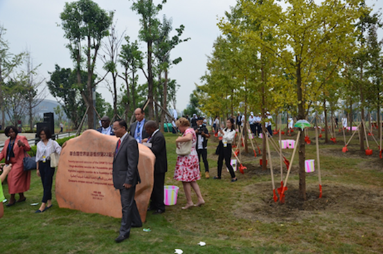 国际可持续旅游发展年植树仪式在蓉举行